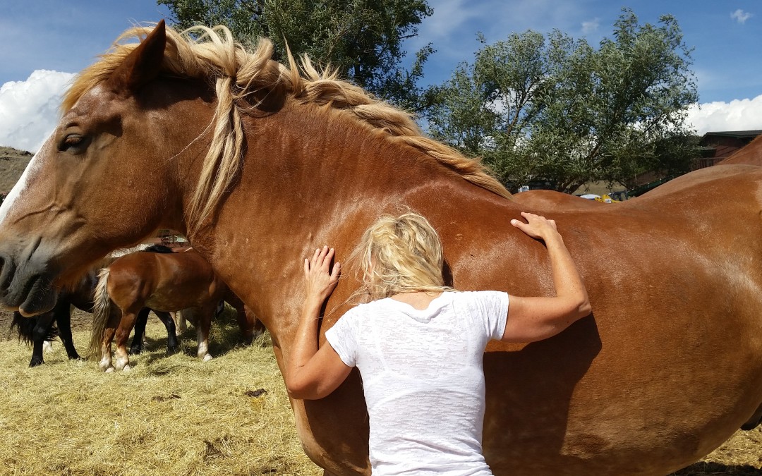 Horse Heaven