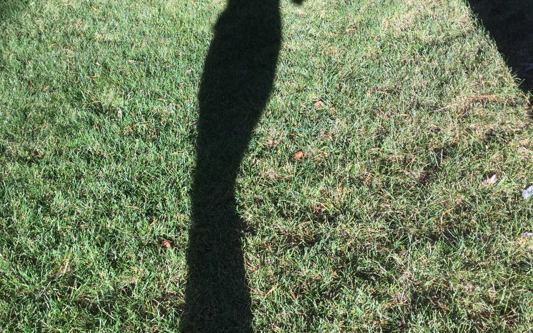 Me and My Shadow