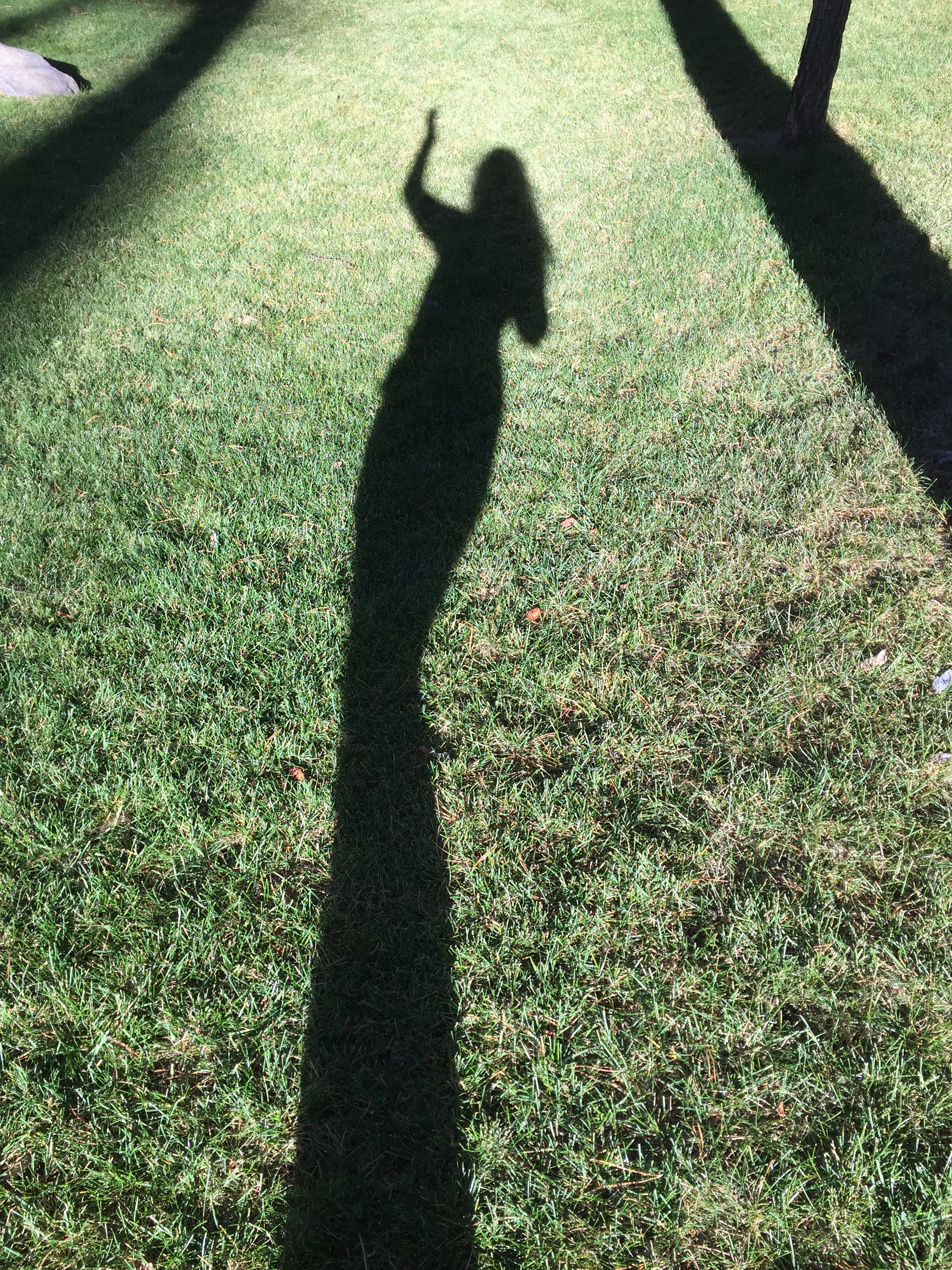 Me and My Shadow